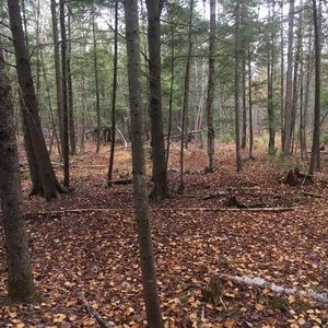 Meet your Posher, Tony